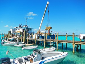 Lot’s of goodies come in on the mail boat!